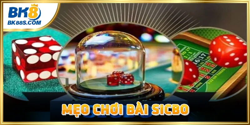 Bật mí chiến thuật khi chơi Sicbo